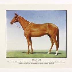 phar lap height in hands|Phar Lap, Champion Race Horse (1926.